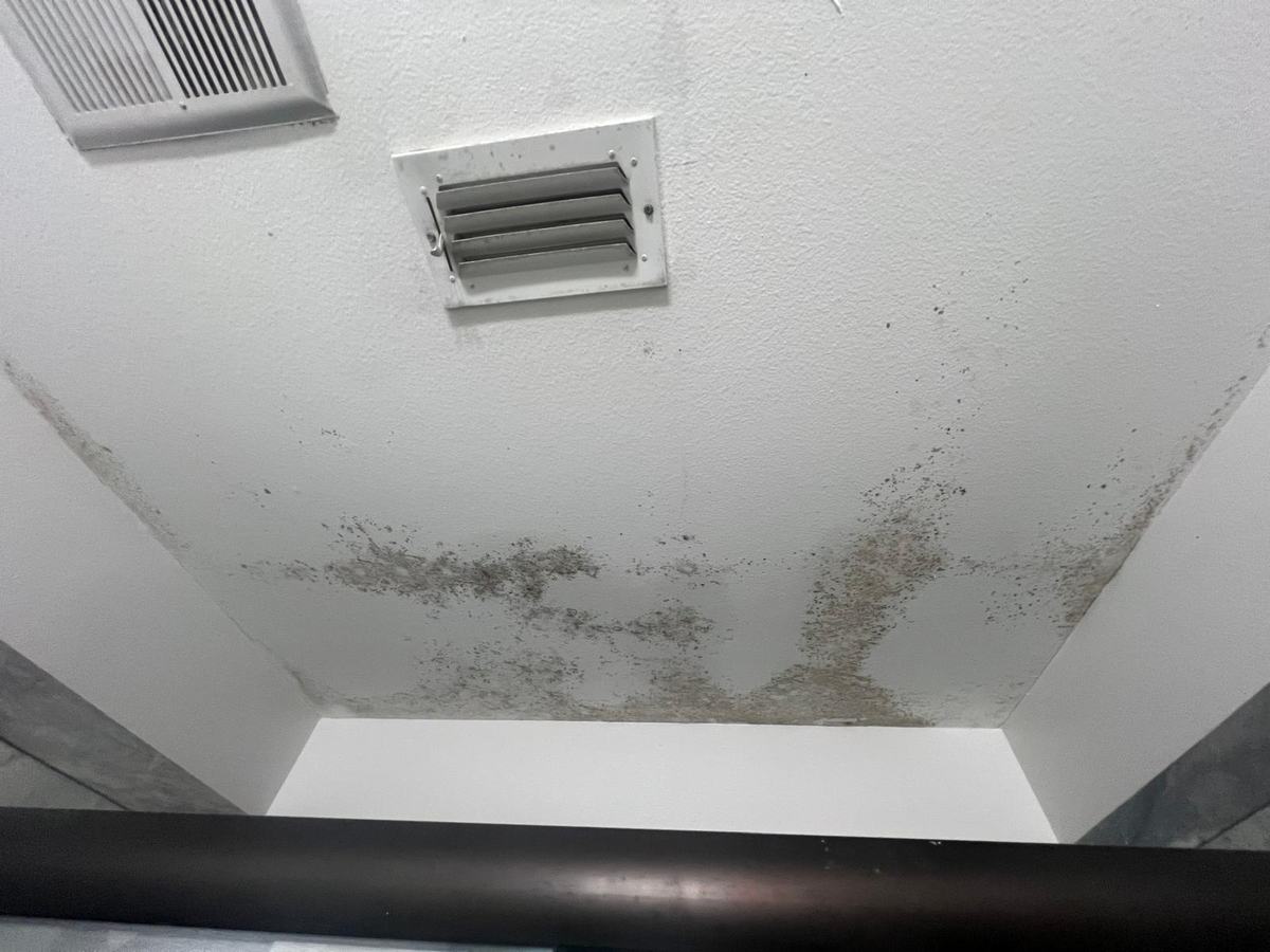 Bathroom ceiling next to the exhaust vent