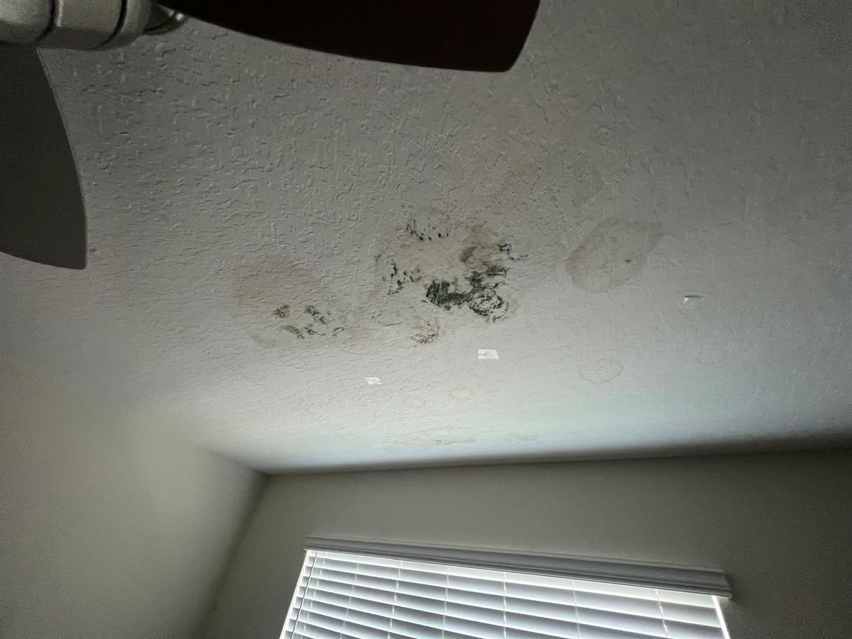 Bedroom ceiling, hidden roof leak